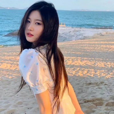 与鸭共舞封面